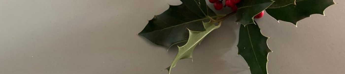 Navidad